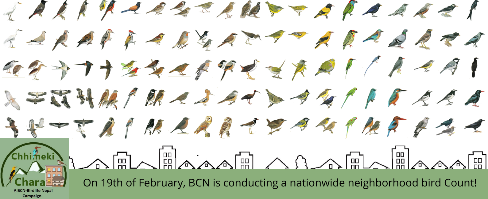  Join the nationwide neighborhood bird count 
