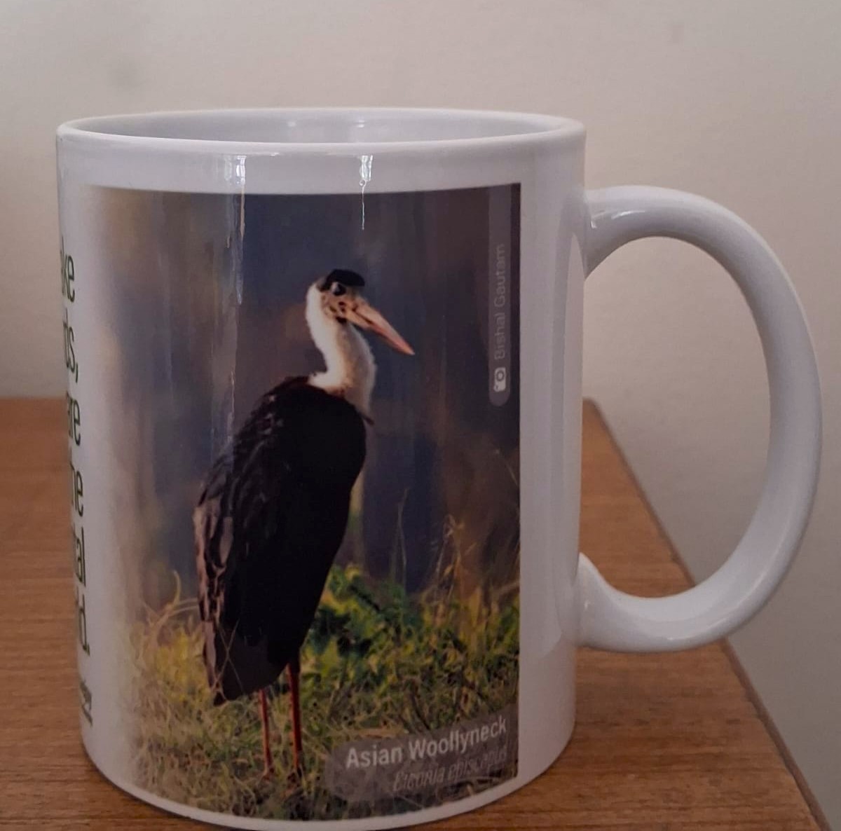 Cup