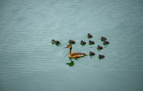 UNDERSTANDING ASSESSING AND MONITORING OF ECOSYSTEM SERVICES FOR BETTER BIODIVERSITY CONSERVATION