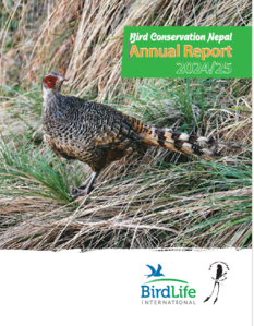 Annual Report 2024-25